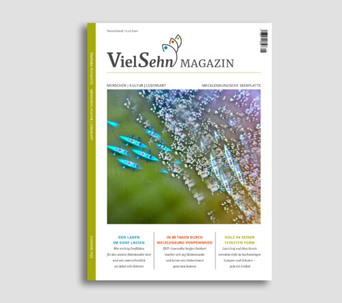 Vielsehn Magazin Sommer 2021 - Menschen, Kultur, Lebensart im Landkreis Mecklenburger Seenplatte