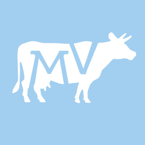 Kuh "MV" Konturaufkleber Mecklenburg-Vorpommern